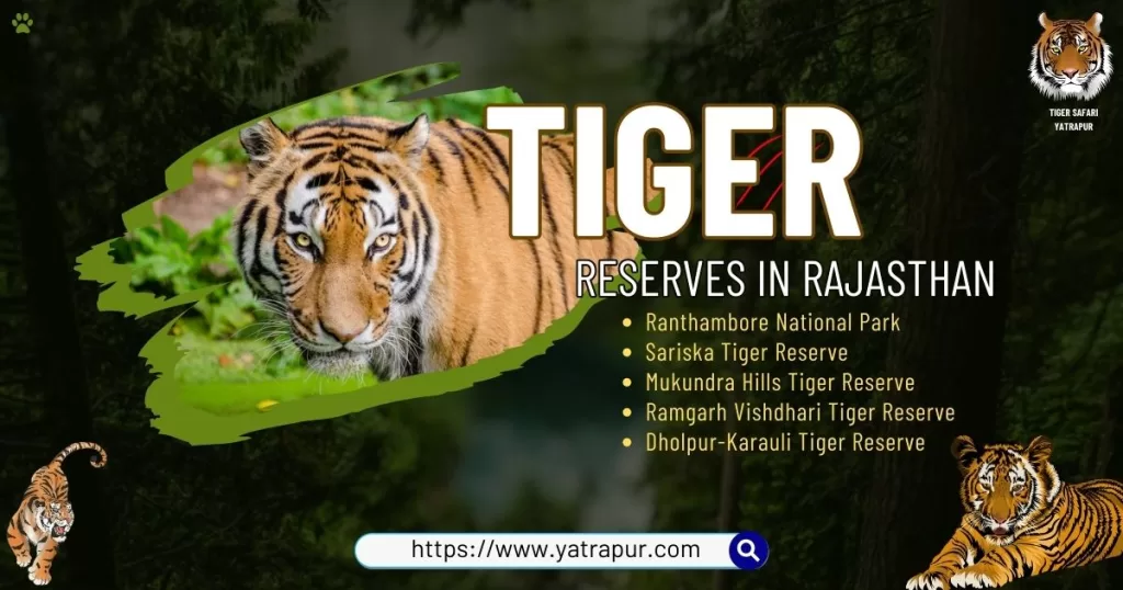 Tiger Reserve in Rajasthan - A Guide to 5 Sanctuaries Tiger Reserve in Rajasthan | Destination for Wildlife Lovers