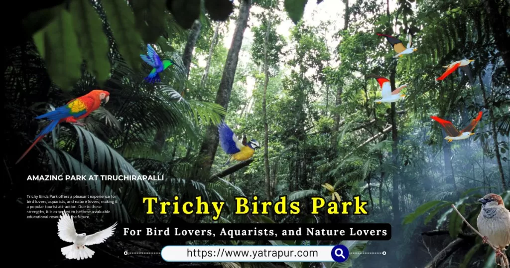 Trichy Birds Park - Tiruchirapalli - Tamil Nadu